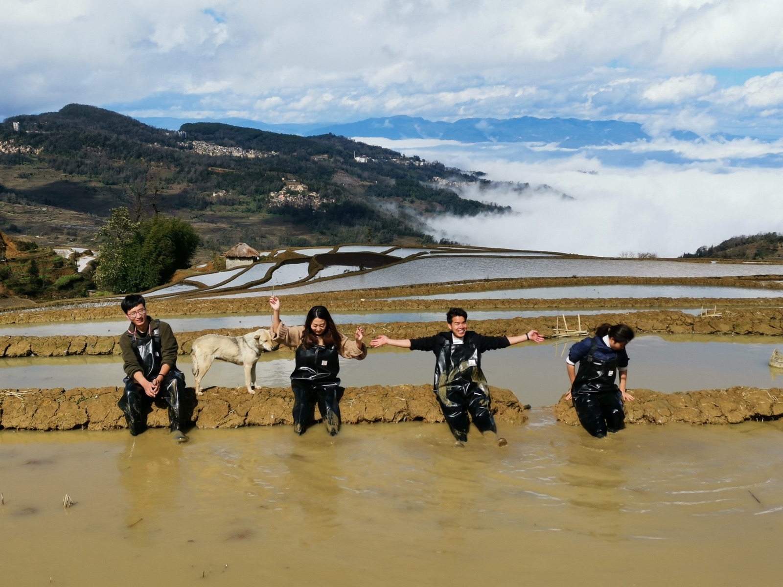 Guests taking part in a seasonal fish-catching activity in the rice terraces