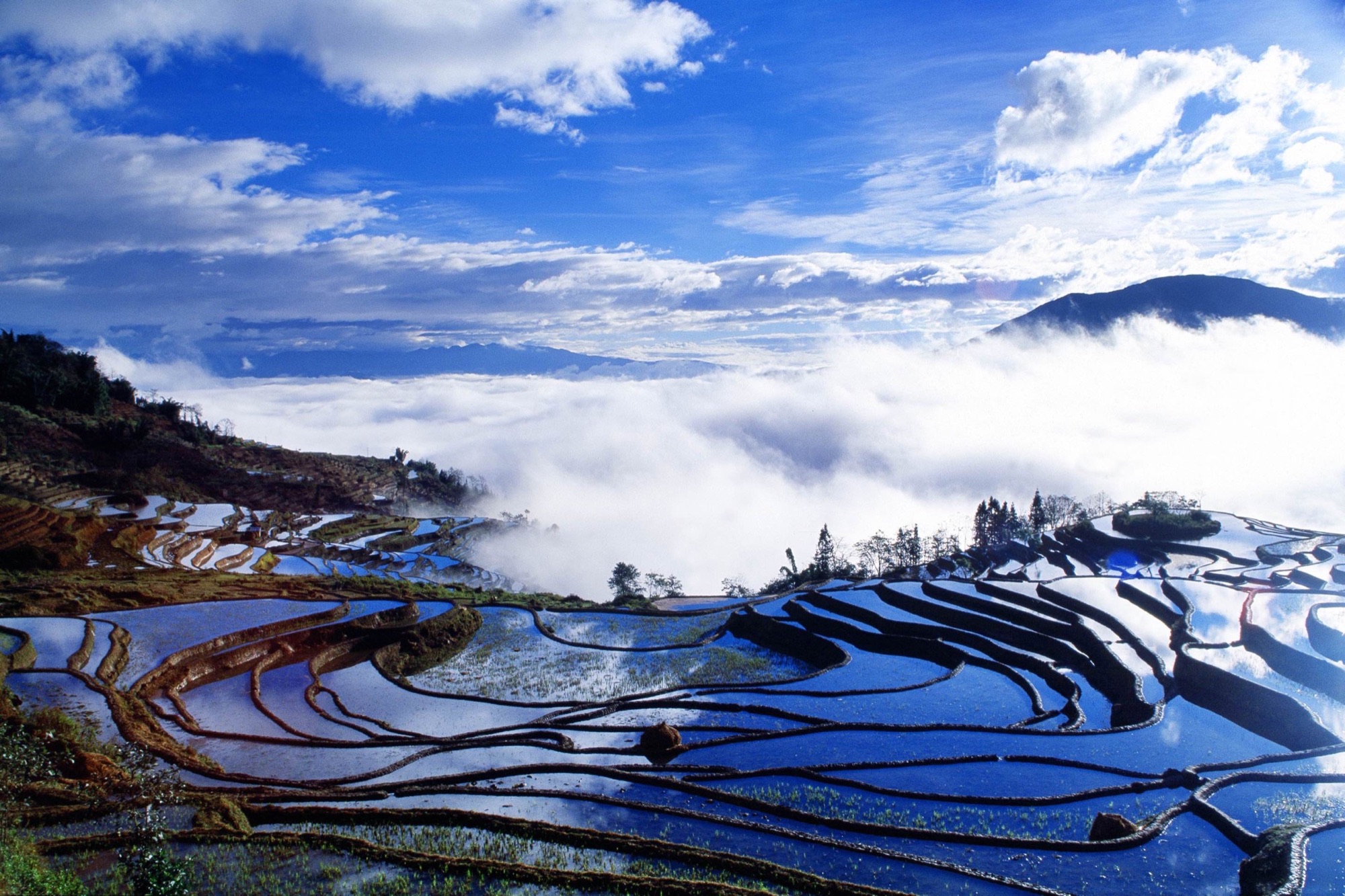 Water-filled Yuanyang rice terraces above a sea of clouds under a blue sky